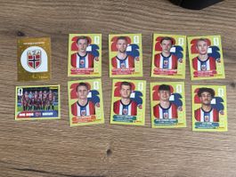 Panini WM 26 Norwegen Sticker 