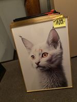 Modernes Katzenbild 🐱 – Wandbild mit Rahmen / Tierbild / D!