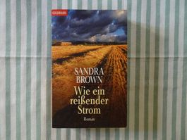 Sandra Brown - Wie ein reissender Strom - Liebes-Thri - B641