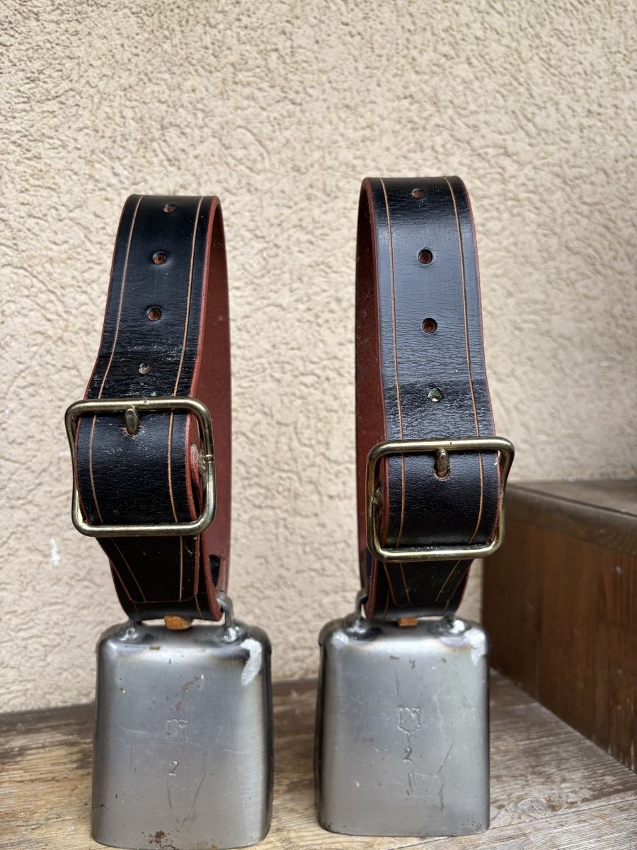 Campanacci mucche: 2 x Gotthardt NR 2 – Usato da Schangnau venduto da Roseggli82 3