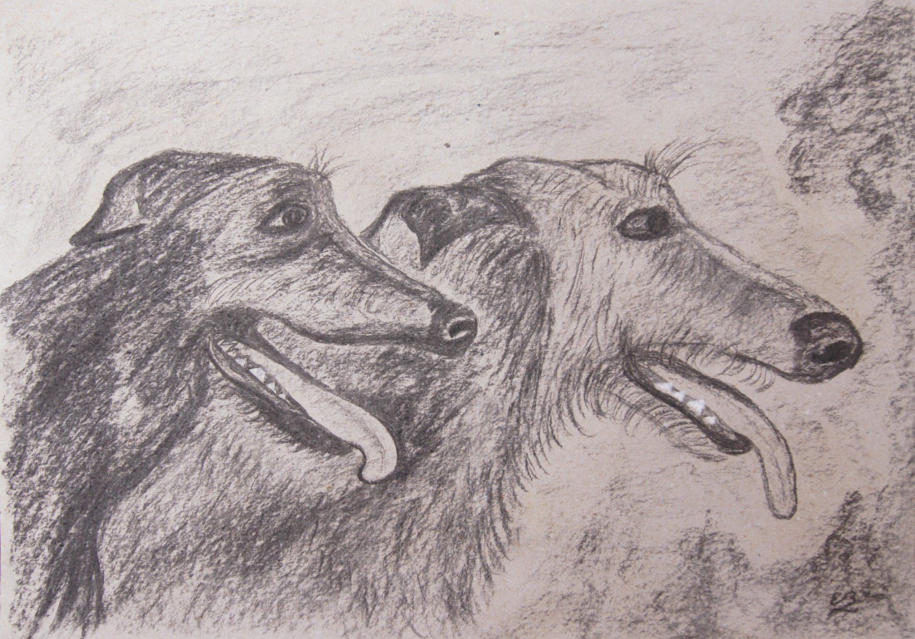 Dipinti: Kohlezeichnung: Irischer Wolfshund – Nuovo (secondo la descrizione) da Fribourg venduto da erw_68dx