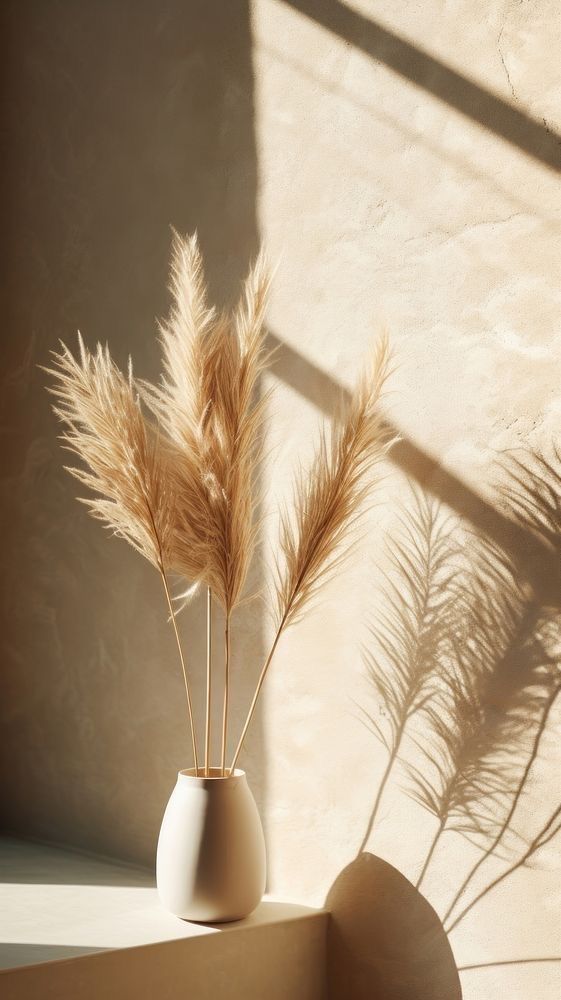 Alle Dekorationen: Pampas Gras – Neu und originalverpackt aus Pfaffhausen von Kevin_Meier 2