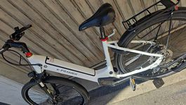 Ebike
