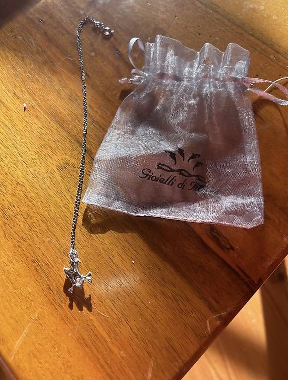 Catenine: Collier pendentif argenté – Nuovo e nell'imballaggio originale da Chamoson venduto da ccarruzzo 1