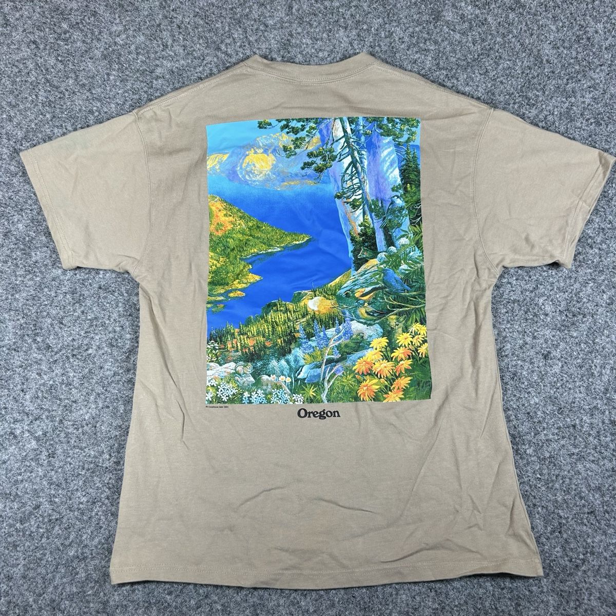 Nike T-Shirts: NIKE ACG Medium 2021 – Gebraucht aus La Sagne NE von Matlasape 1