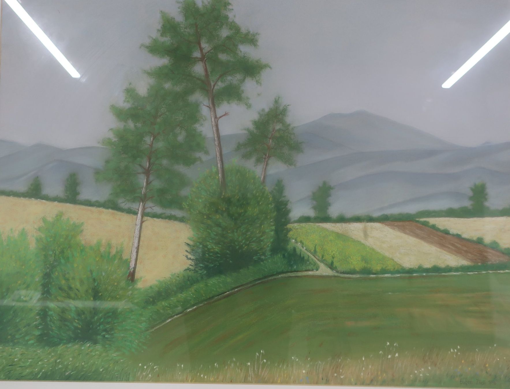 Dipinti: Sommer im Allgäu Eugen Zilioli – Usato da Volketswil venduto da brockipfannenstil 3