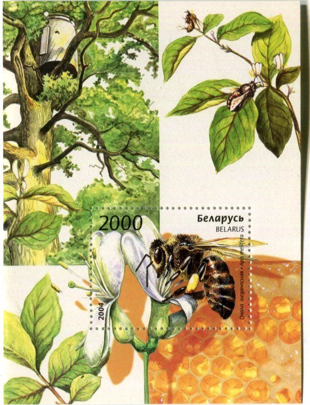 Tous les timbres: Block "Bienen". Weissrussland. – Neuf avec emballage d'origine à Basel par Butsch5