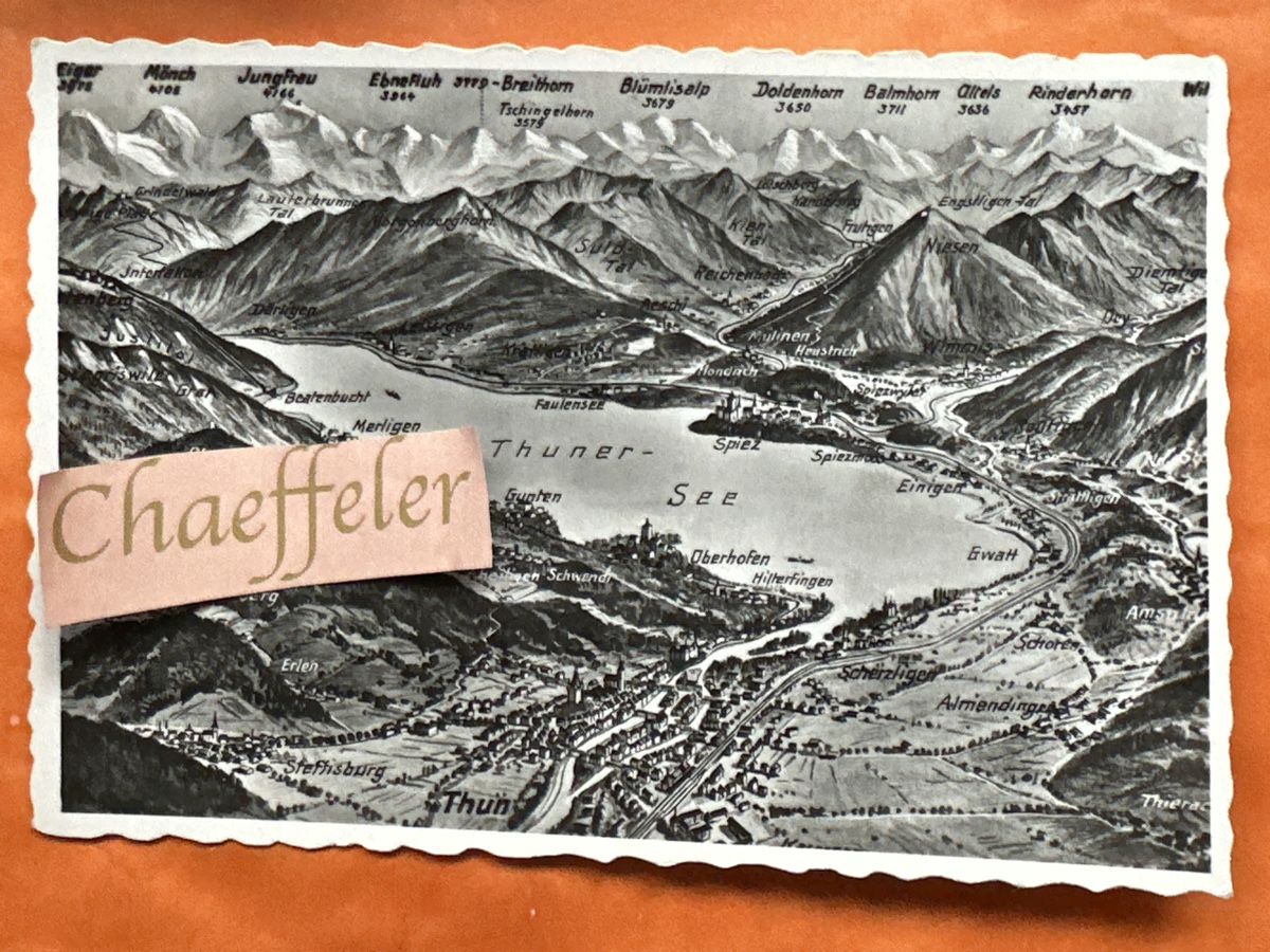 Cartoline postali: Thun,  Thunersee, Blick auf Berge, Dörfer, Oberland – Usato da Zürich venduto da Chaeffeler