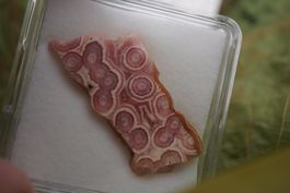 Rhodochrosit  Querschnitt     –Edelsteinstube Rausverkauf