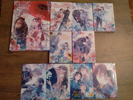 Manga Meine ganz besondere Hochzeit 5 Bände + Artbook