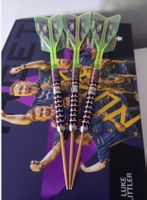 target luke littler world champion darts