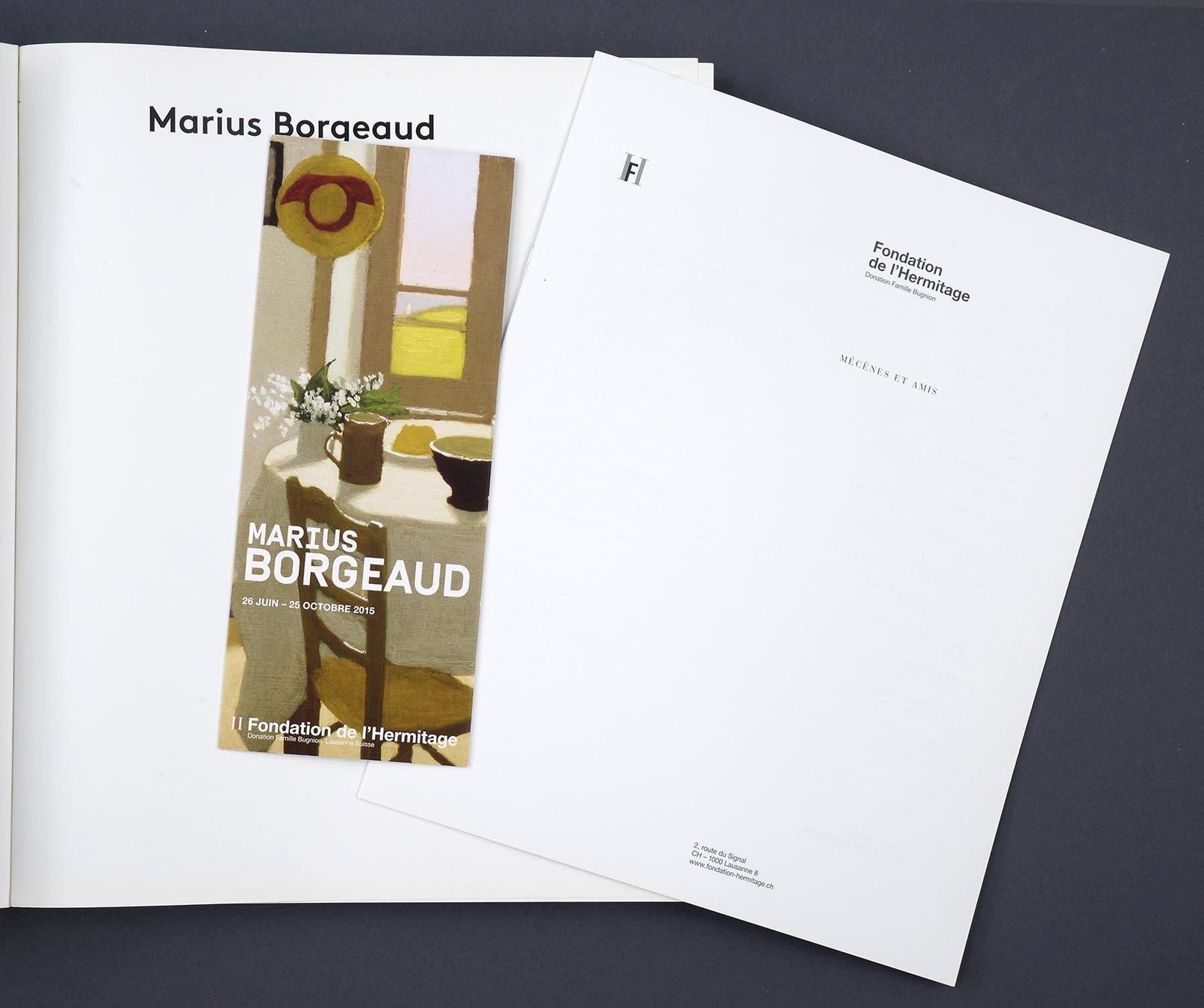 Libri: CH Kunstbuch: Marius Borgeaud, peintre suisse – Usato da Bern venduto da chamunda 3