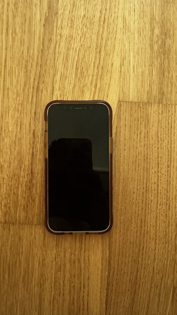 Apple Portables: iPhone 12 mini – Défectueux à Rotkreuz par croissant_25 1