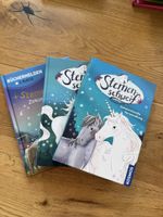 Bücherhelden Sternenschweif  Zirkusfreunde, 2. Klasse
