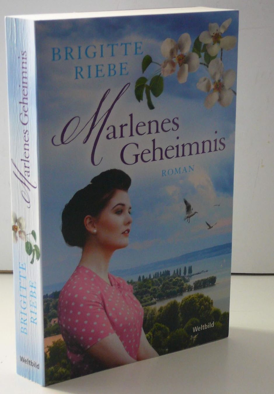 Libri: Marlenes Geheimnis – Usato da Neuchâtel venduto da Dualseele