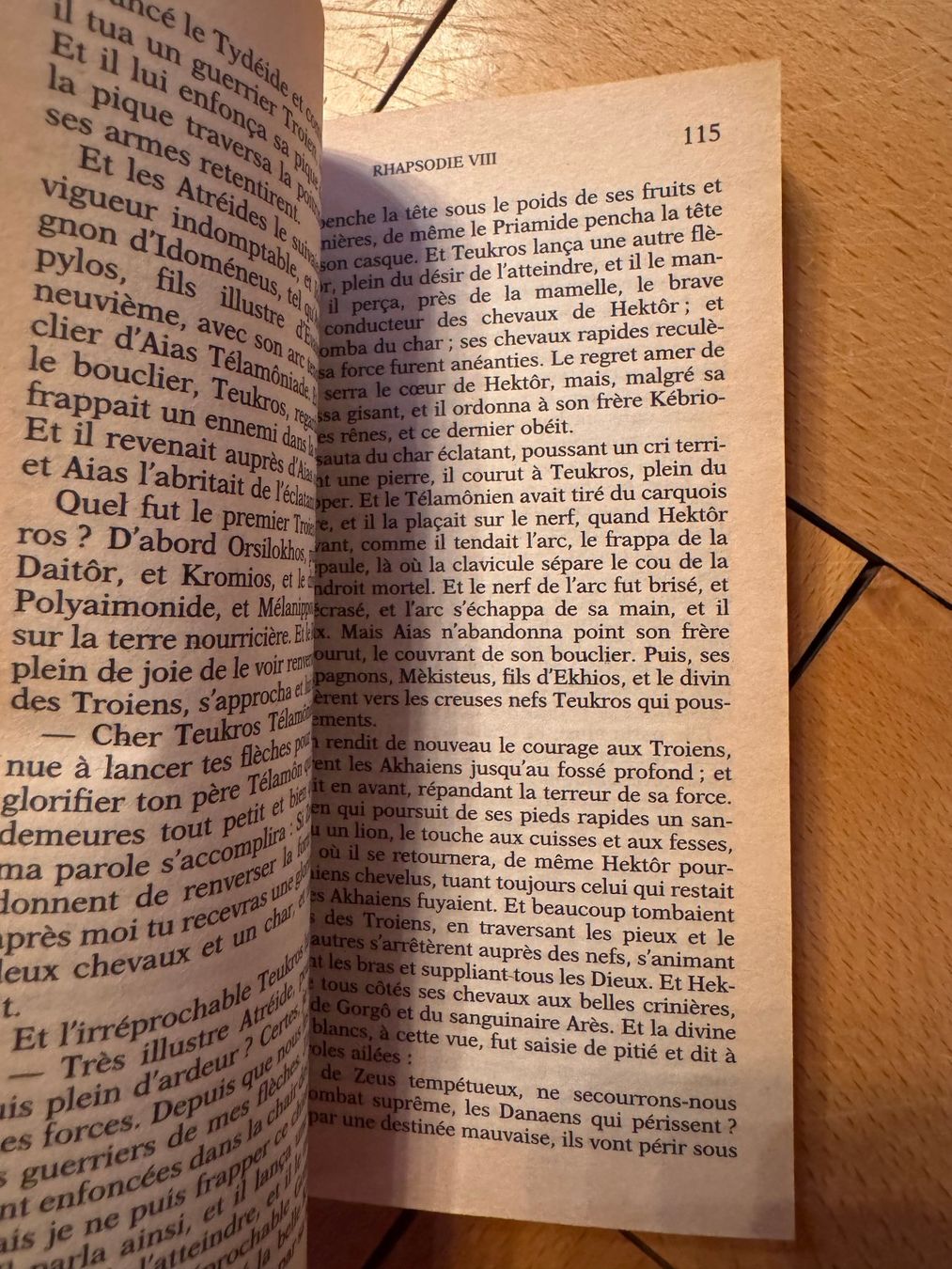 Libri: Homer Ilias - Maxi-Poche Klassiker – Usato da Zürich venduto da 411osmanbey 1