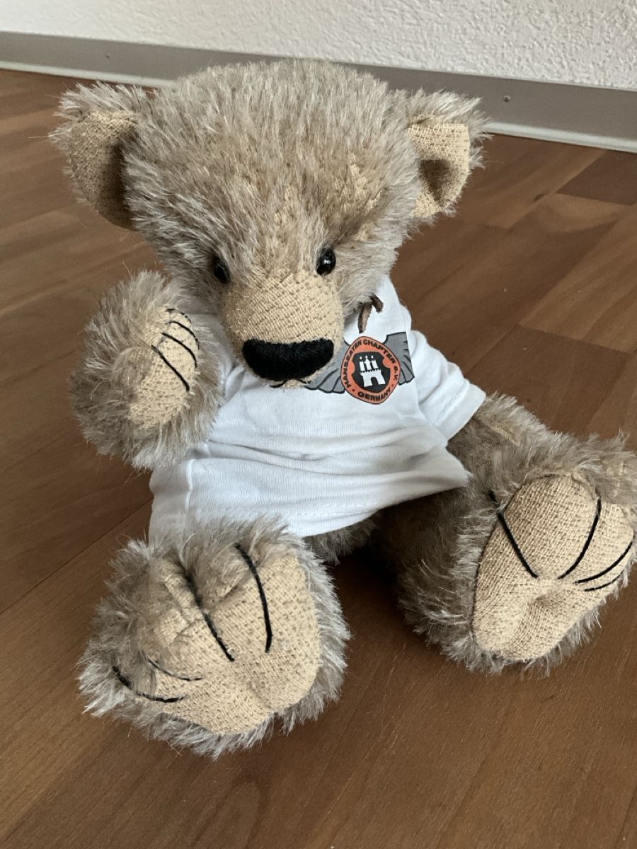 Giocattoli: Teddybär Danilo, handgefertigt – Nuovo (secondo la descrizione) da Schmitten FR venduto da Chili58 2