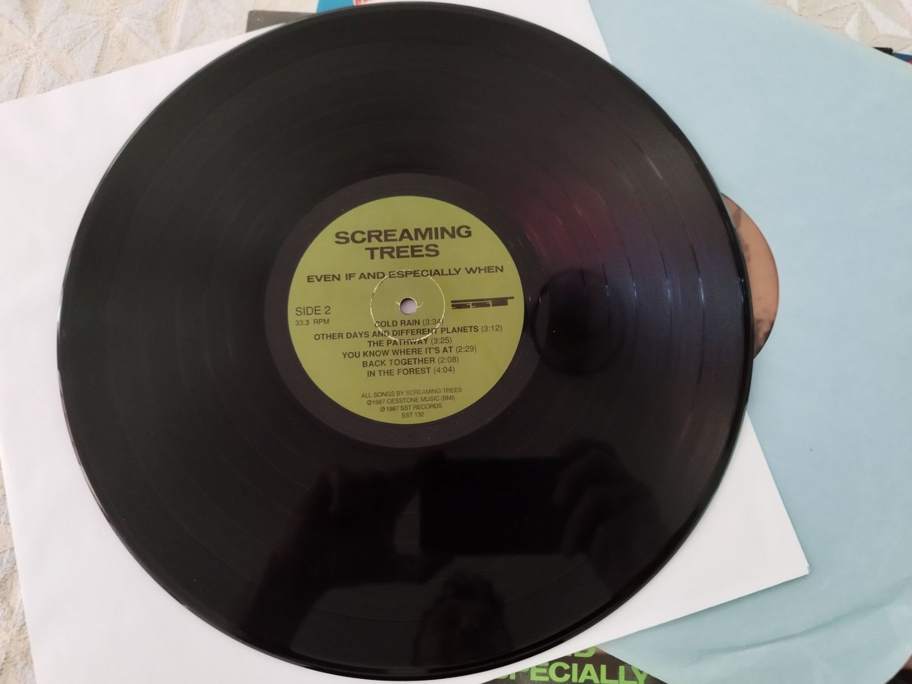 Dischi in vinile: Screaming Trees - Even If And Especially When, Vinyl rar – Usato da Lupfig venduto da fred-feuerstein 3