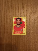 Panini FIFA World Cup 2026, MAR 15
