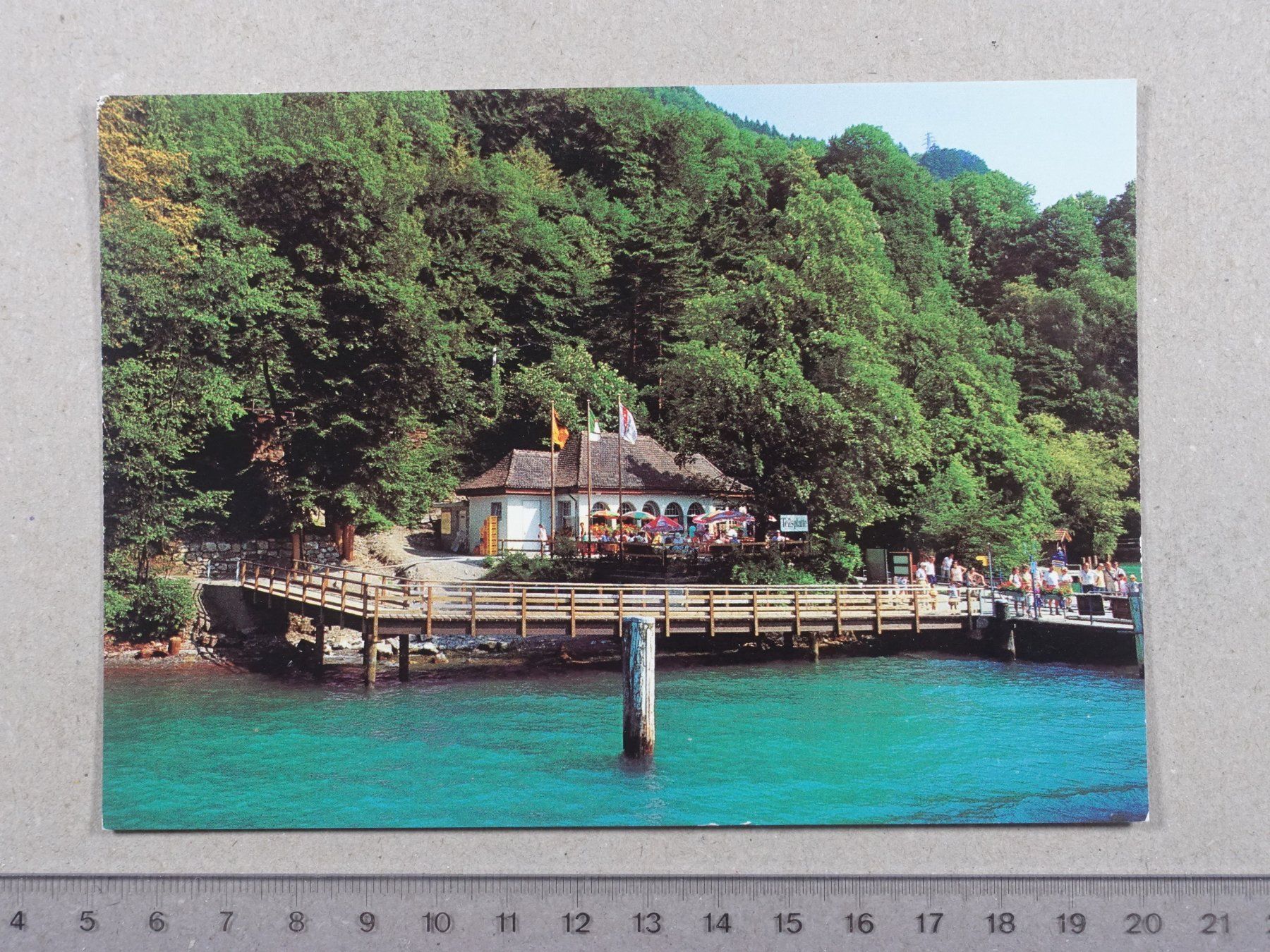 Cartoline postali: Sisikon, Tellsplatte, Restaurant, Schiffstation – Usato da Lenzburg venduto da fh1