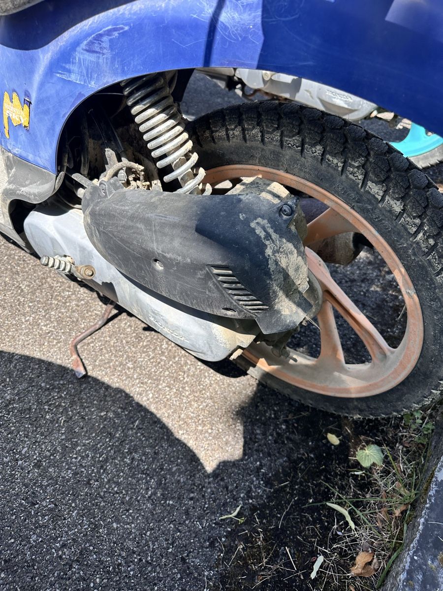 Scooters: Honda 50 – Gebraucht aus Biel-Bienne von Silva-M30 2