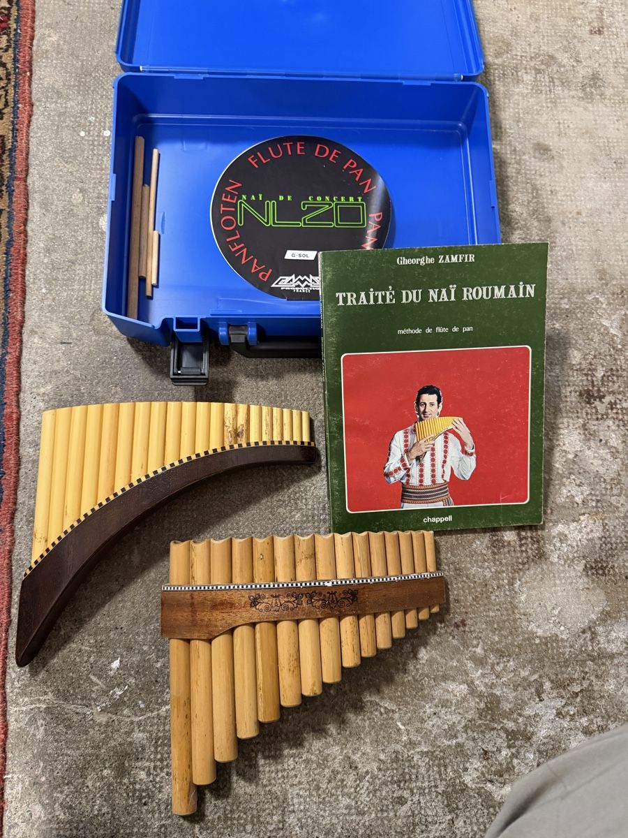 Two Pan Flutes Vintage with Method Book and Case (Gebraucht) in ...