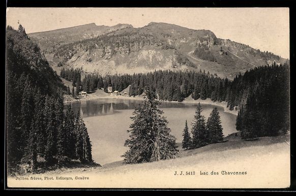 Cartoline postali: AK Lac des Chavonnes, Panorama – Usato da Berlin venduto da bartko-reher