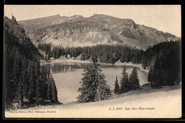 AK Lac des Chavonnes, Panorama
