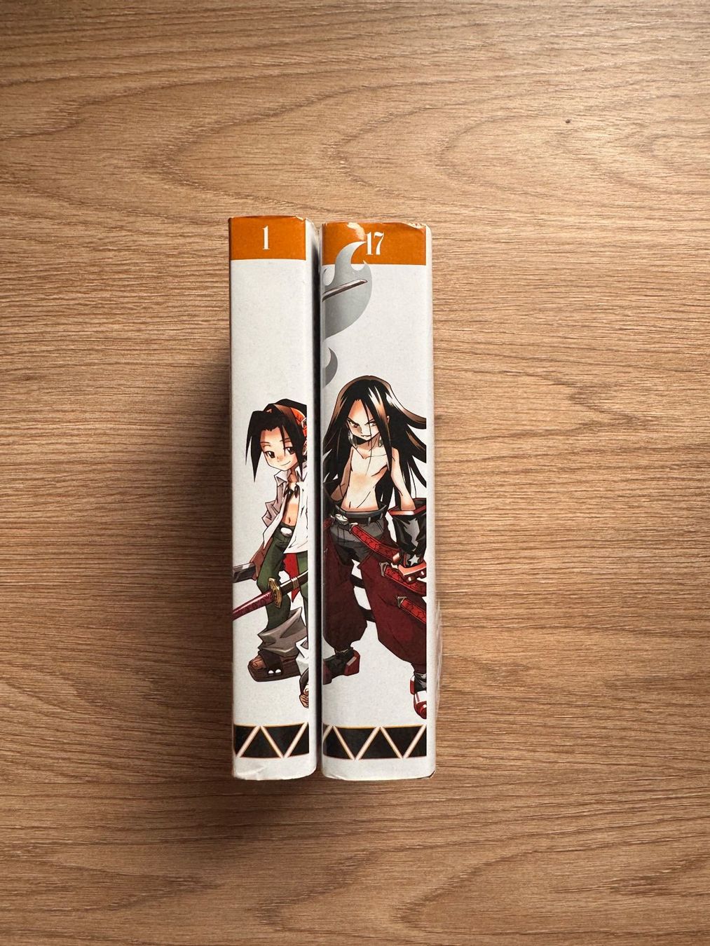 Comics: Shaman King Tomes 1 et 17 – Gebraucht aus Genève von car_99hb 1