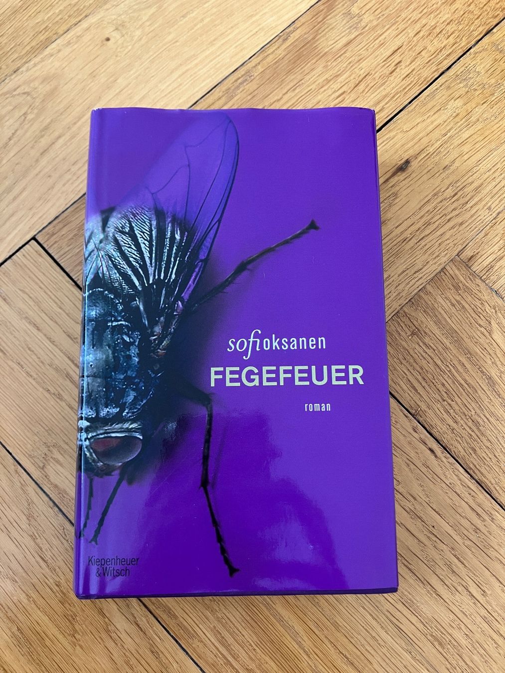 Libri: Fegefeuer - Buch gebunden – Usato da Bern venduto da hiso1