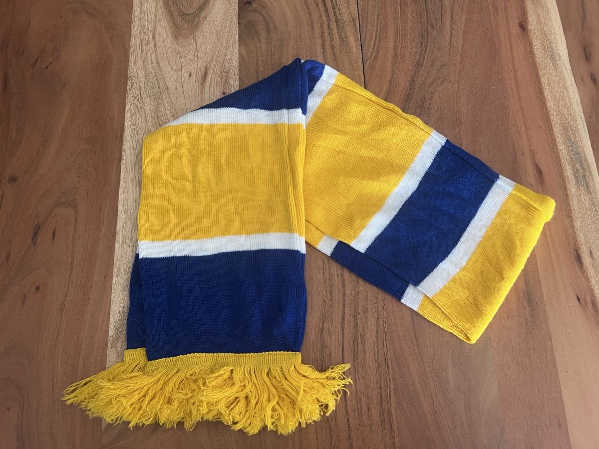 Foulard & Sciarpe: HC Davos Fanschal – Usato da Gerzensee venduto da JaLe14 1