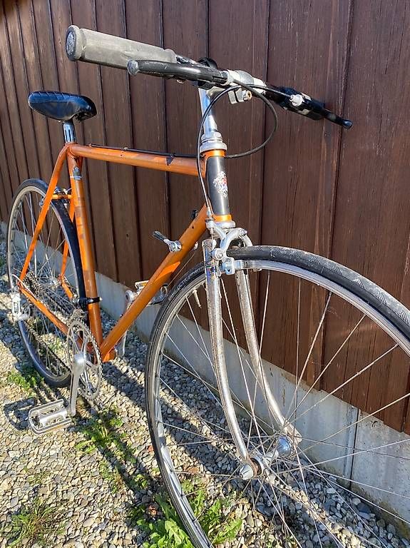 Biciclette: Velo Allegro – Usato da Vevey venduto da jaminn 3