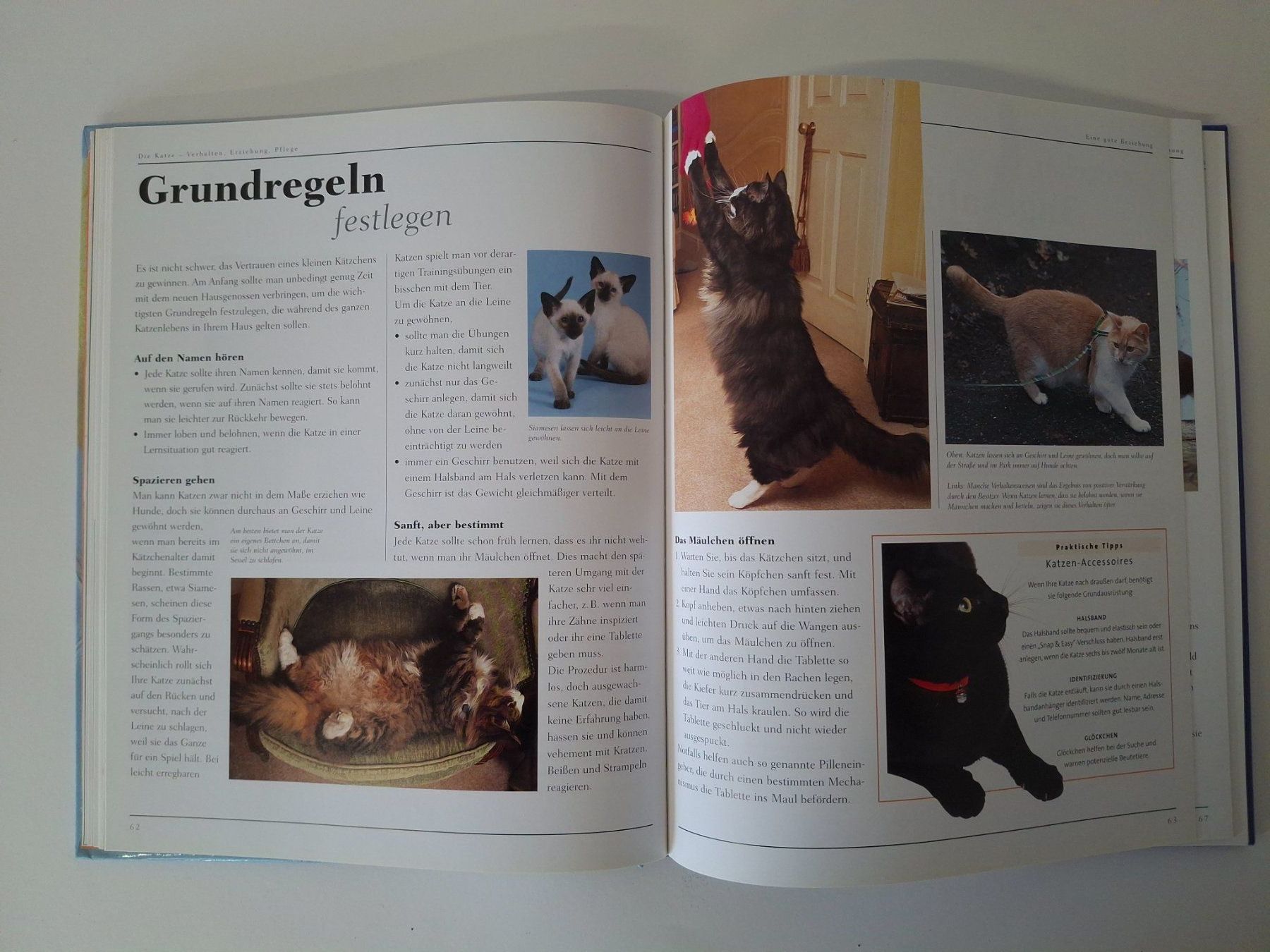 Libri: Die Katze - Verhalten, Erziehung, Pflege – Usato da Reichenburg venduto da AK307 2
