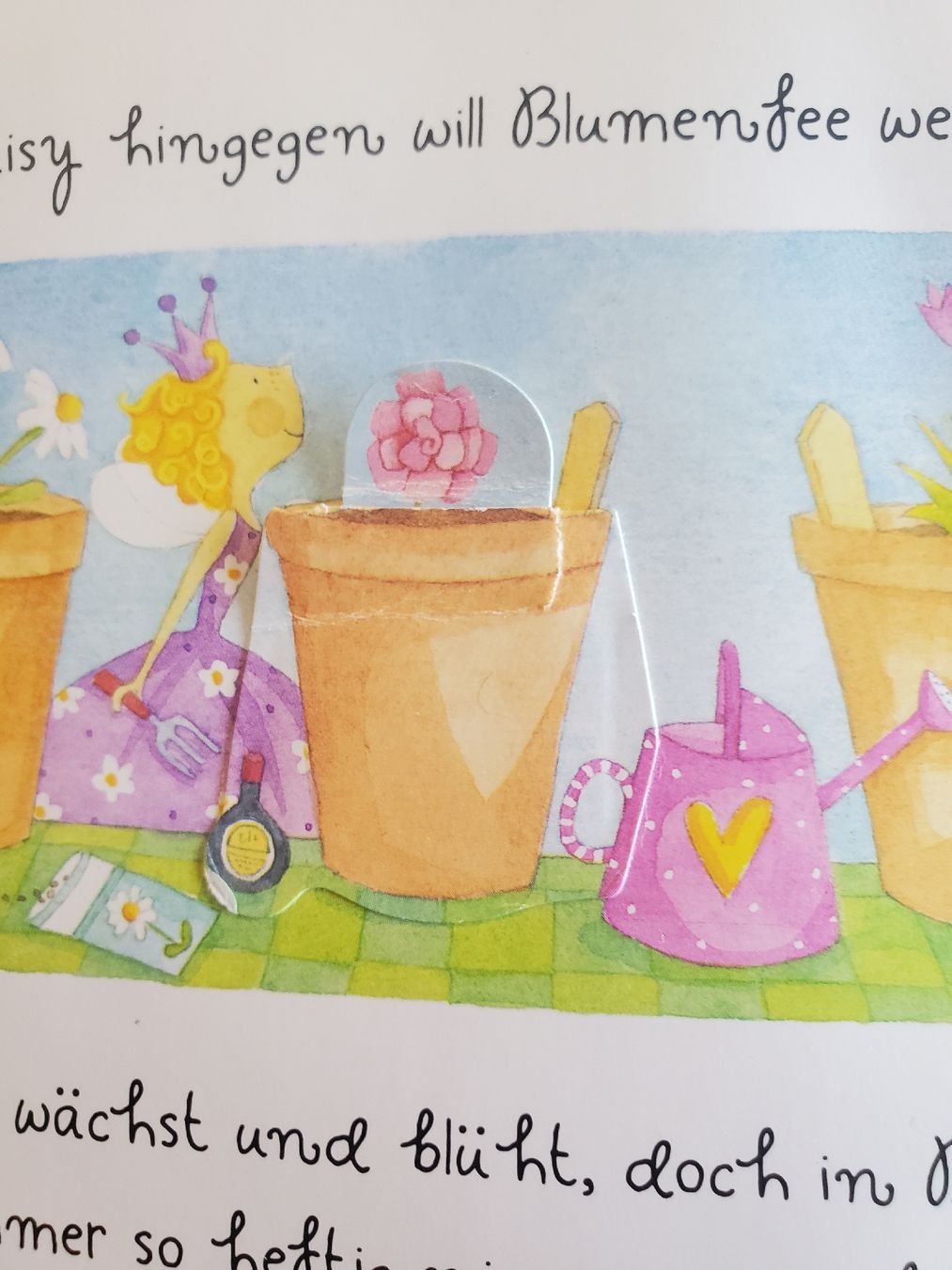 Bücher: Felicity Wunschfee, Kinderbuch – Gebraucht aus Frauenfeld von BeneFull 7