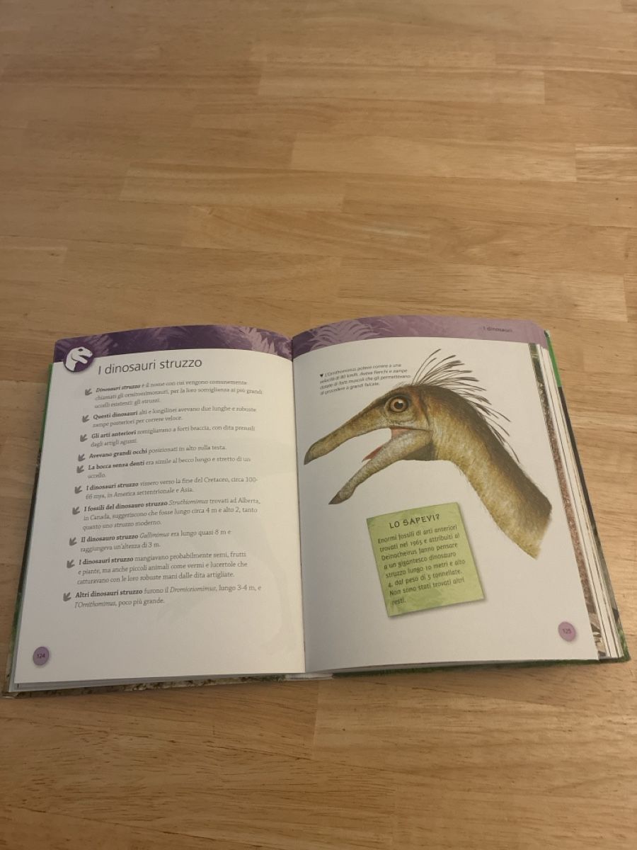 Livres: Dinosaur Encyclopedia Book Italian Text Good Condition – D'occasion à Uster par may_wp5n 1