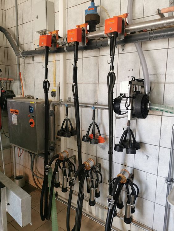 Hapel Rohrmelkanlage Kaufen auf Ricardo