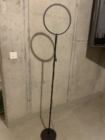 Ringlicht für perfekte Fotos