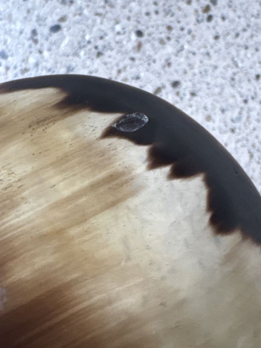 Cucchiai: Vintage Asien Servierlöffel Drachen Horn – Nuovo (secondo la descrizione) da Brütten venduto da Rod816 5