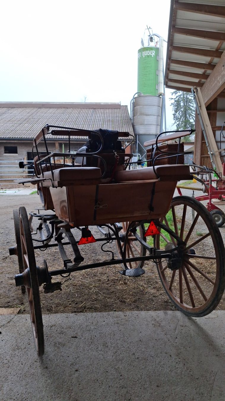 Calèches: Oldtimer Holzbreak – D'occasion à Möriken AG par rotone 4