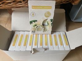 Blooming Jasmine Duftkerzen 72 Stück Neu!