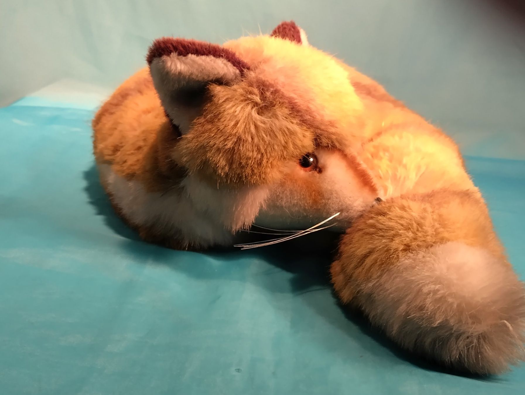 Steiff Giocattoli: Steiff Fuchs, liegend, Durchmesser: 35cm, 1542/35 – Nuovo (secondo la descrizione) da Bellach venduto da JingleCherry 2