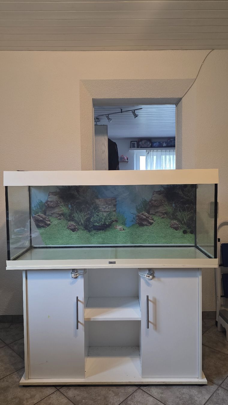 Juwel Aquarium: Juwel Aquarium 240L – D'occasion à Oberhofen TG par Pea_fj7 5