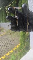 ✨️Collier Acier Inox Pierres / Kette Edelstahl Mit Steinen