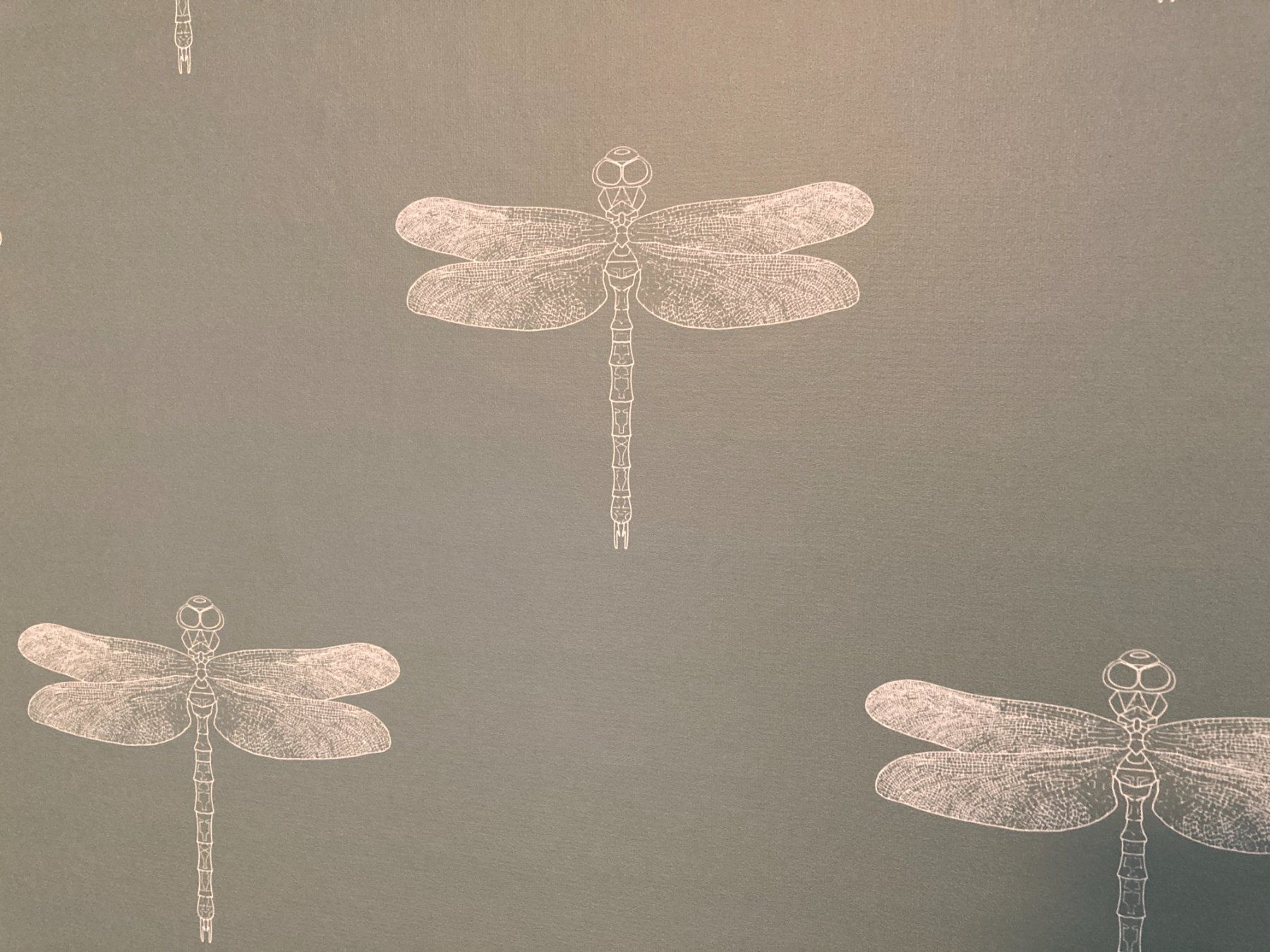 Tapeten: Tapete mit Libellen, grau-grün, Spoonflower – Gebraucht aus Schaffhausen von Minzli380 2