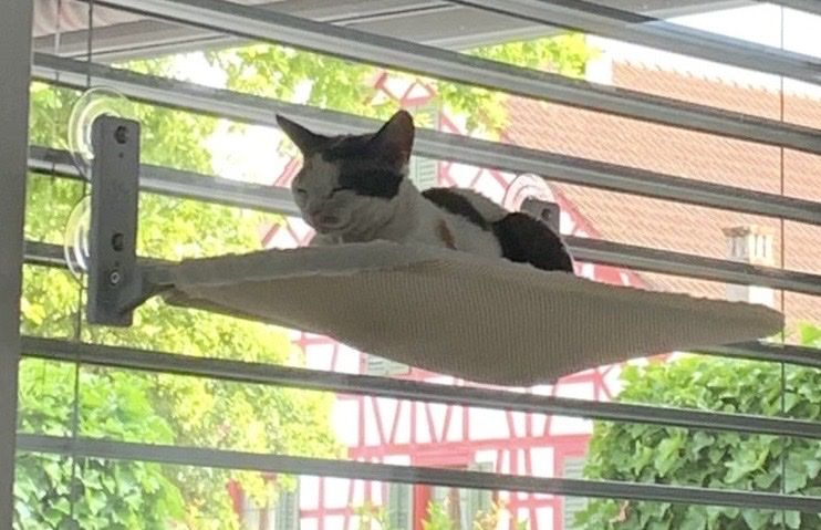 Hängematten: Katzen Hängematte - Neuwertig! – Neu (gemäss Beschreibung) aus Sennhof von Amko