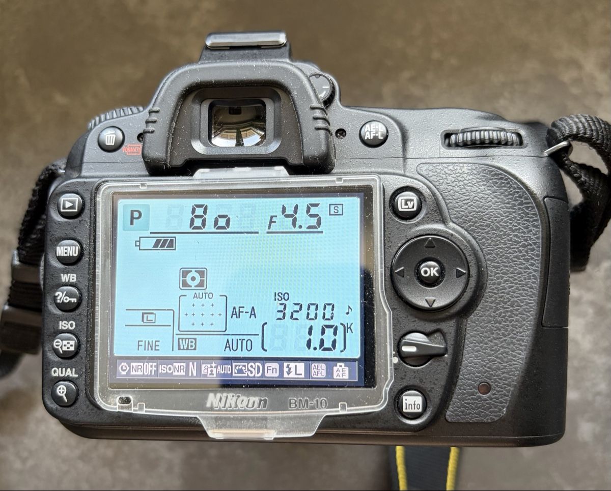 Nikon Fotocamera: Nikon D90 mit Zubehör und Tasche – Usato da Liestal venduto da RogerS28 7