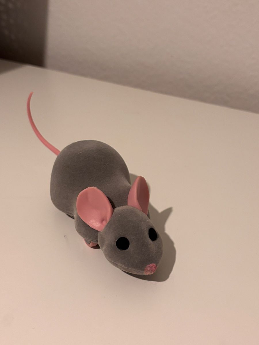 Giocattoli: MORE App-gesteuerter Mouse Racer – Nuovo (secondo la descrizione) da Basel venduto da Jillcaarmen 1