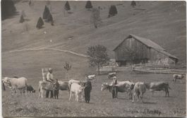 LANDWIRTSCHAFT/ALPWIRTSCHAFT 1920 SG/AR/AI?