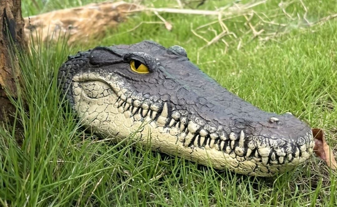 Statuette: Teich Krokodil Kopf (31 cm) – Nuovo e nell'imballaggio originale da Langenbruck venduto da Gumsi 2