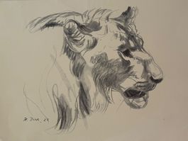 Karl Theodor Dick (1884-1967), Löwe, Kolhlestift, signiert